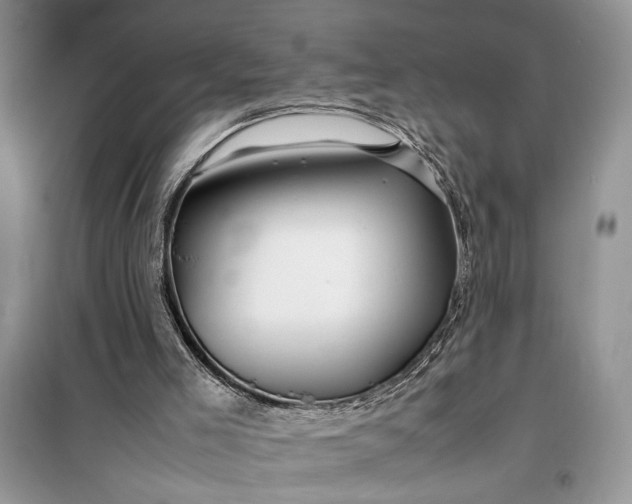 X0000099510005200805291159