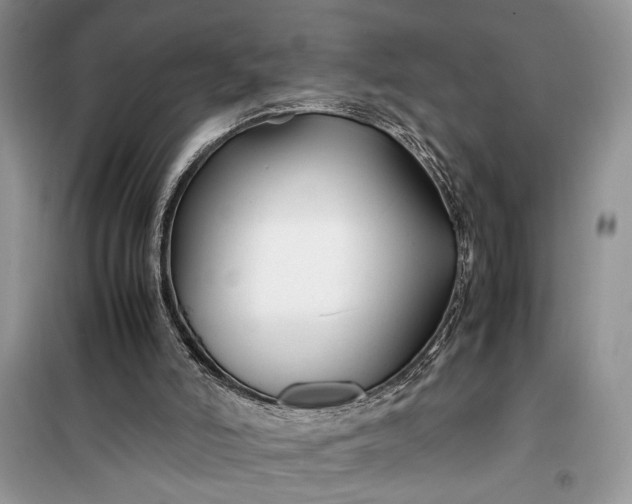 X0000099510006200805291159