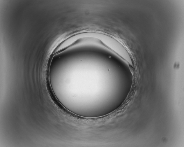 X0000099510007200805291159