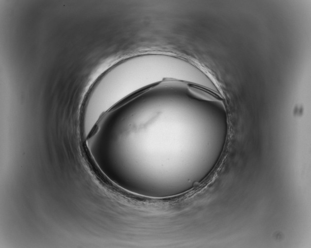 X0000099510008200805291159