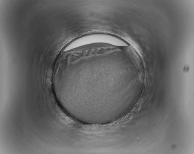 X0000099510009200805291159