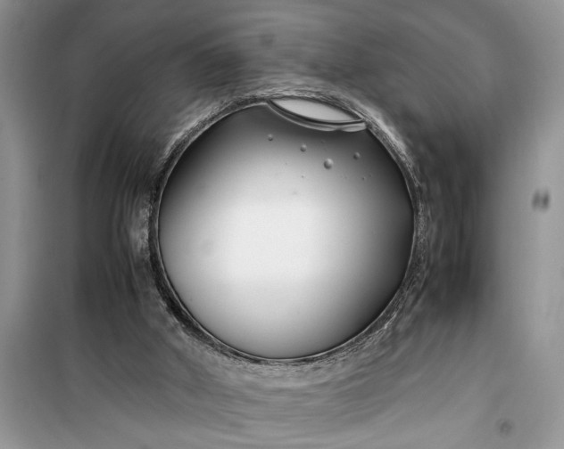 X0000099510010200805291159