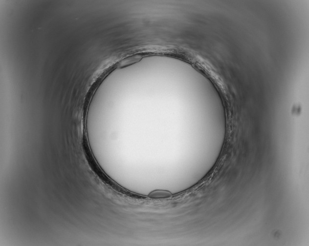 X0000099510011200805291159