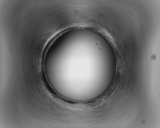 X0000099510012200805291159