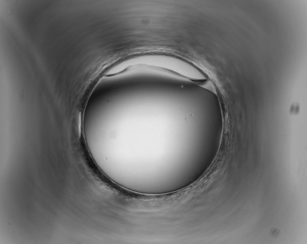 X0000099510013200805291159