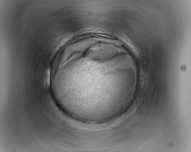 X0000099510014200805291159