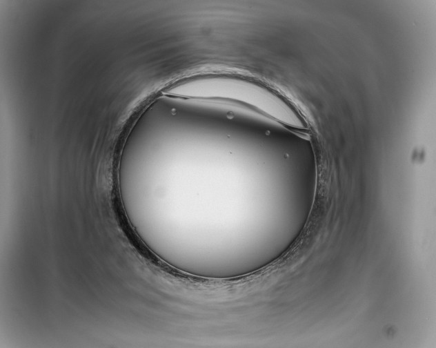 X0000099510015200805291159