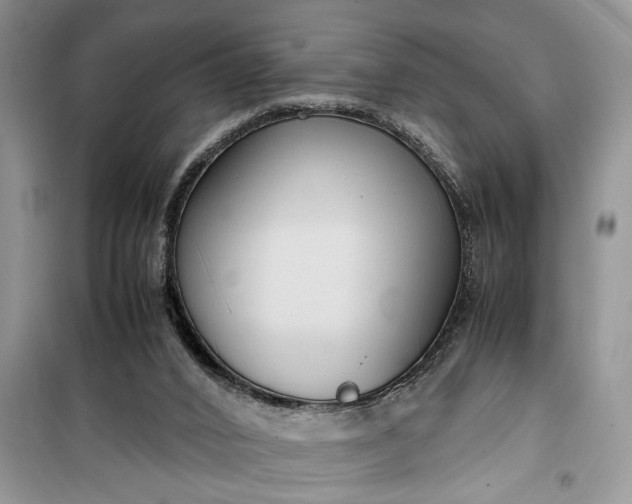 X0000099510016200805291159