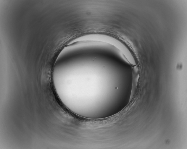 X0000099510017200805291159