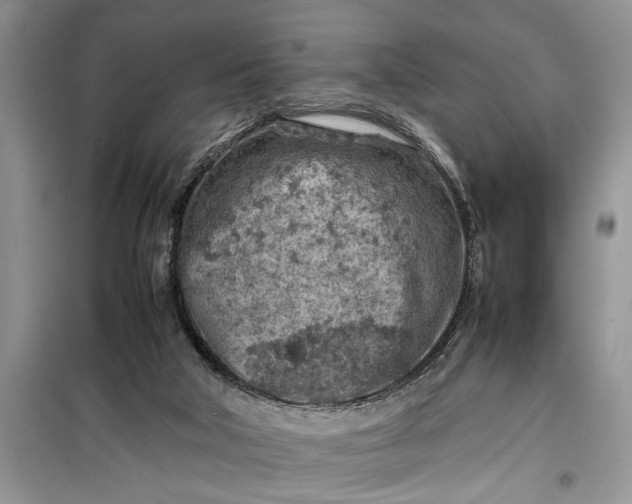 X0000099510018200805291159