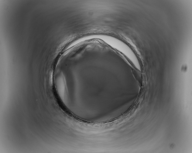 X0000099510019200805291159