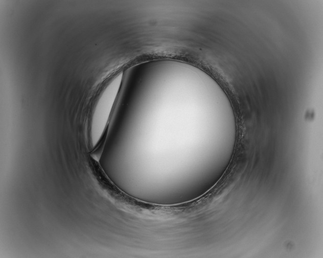 X0000099510020200805291159