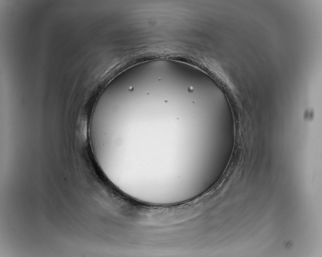 X0000099510021200805291159