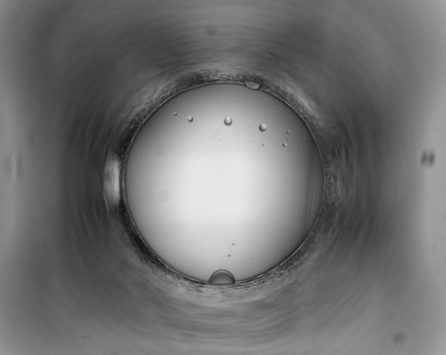 X0000099510022200805291159