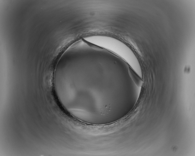 X0000099510023200805291159