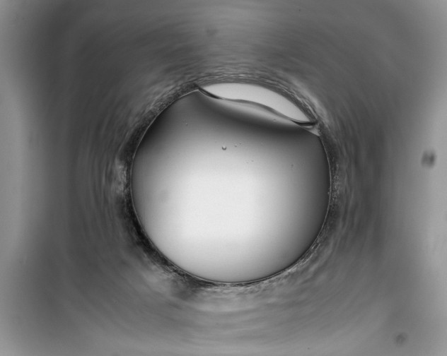 X0000099510025200805291159