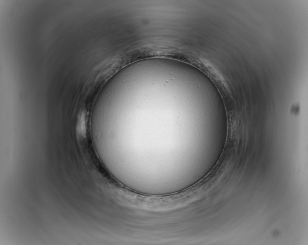 X0000099510026200805291159