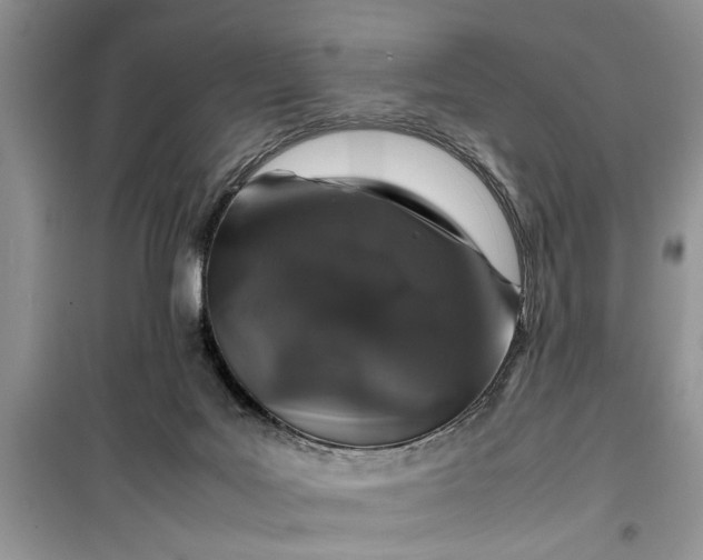 X0000099510027200805291159