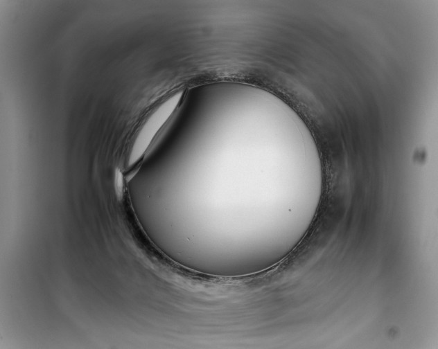 X0000099510028200805291159