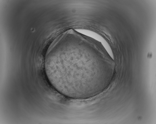 X0000099510029200805291159