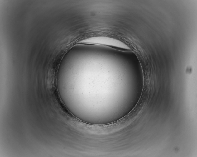 X0000099510030200805291159