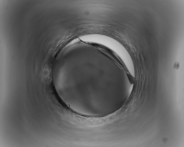 X0000099510031200805291159