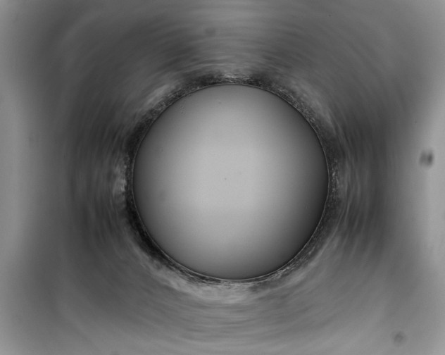 X0000099510032200805291159