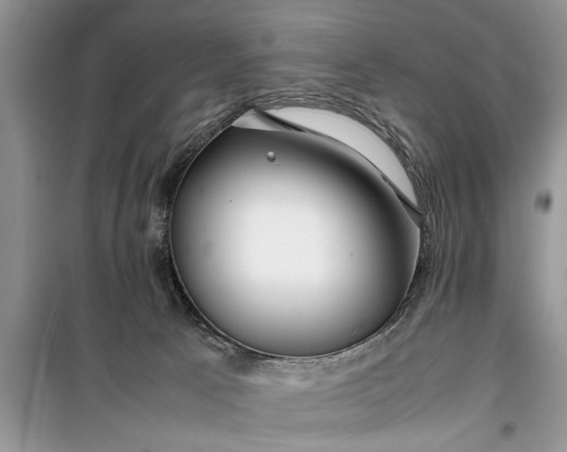 X0000099510033200805291159