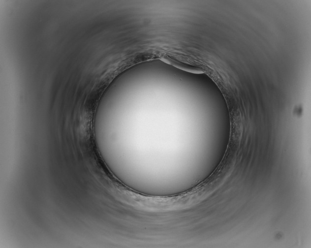 X0000099510034200805291159