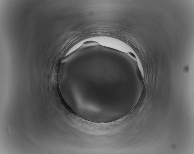 X0000099510035200805291159