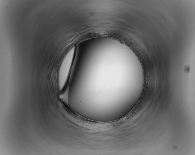 X0000099510036200805291159