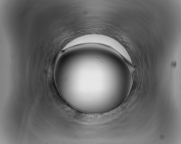 X0000099510037200805291159