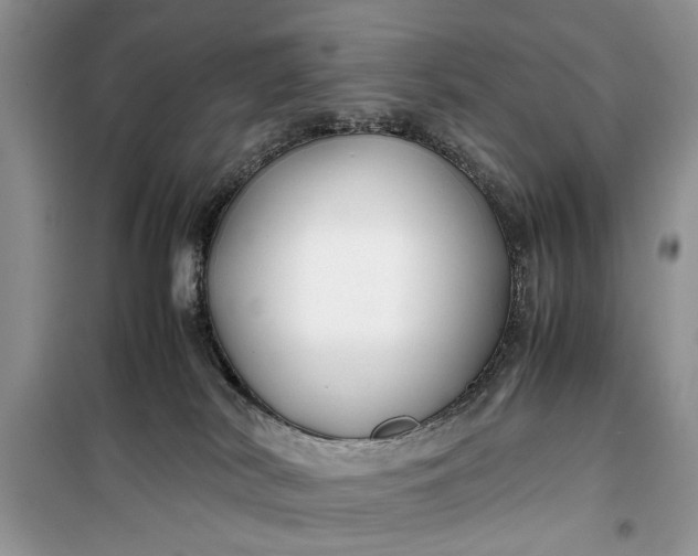 X0000099510038200805291159