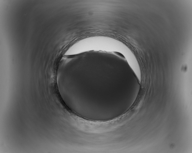 X0000099510039200805291159