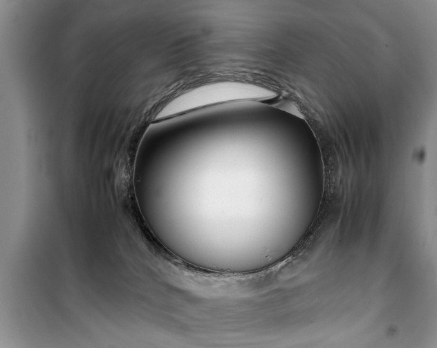 X0000099510040200805291159