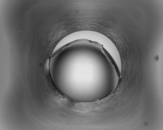 X0000099510041200805291159