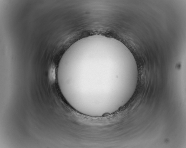 X0000099510042200805291159