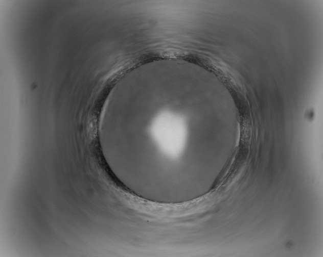 X0000099510043200805291159