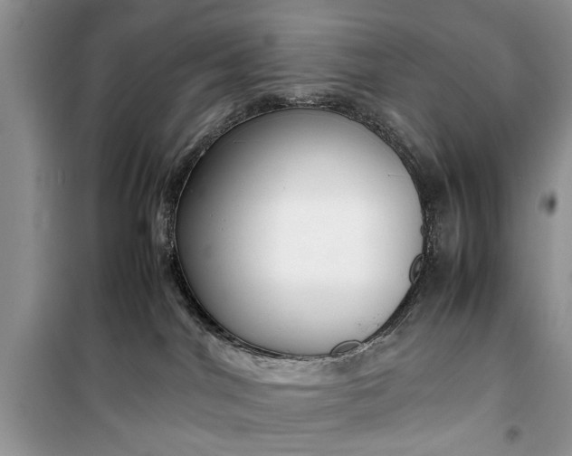 X0000099510044200805291159