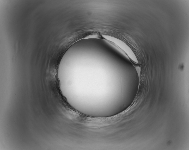 X0000099510045200805291159