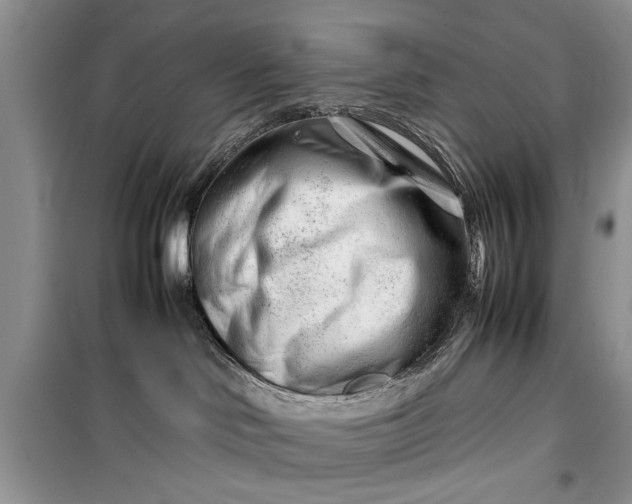 X0000099510046200805291159