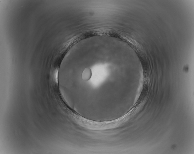 X0000099510047200805291159