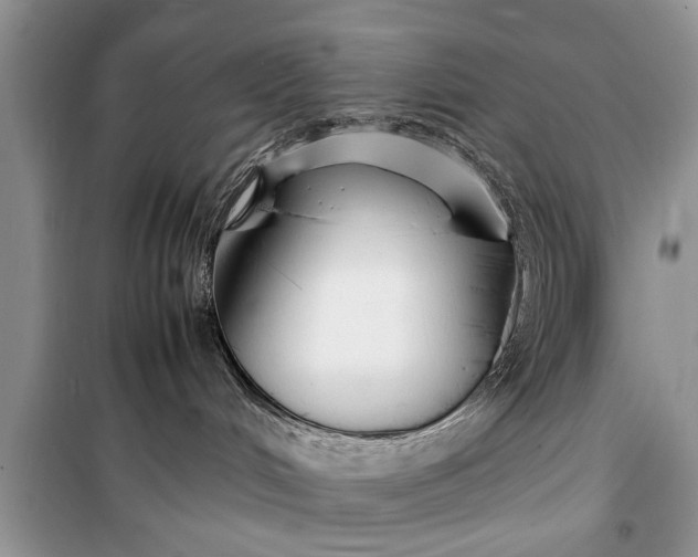 X0000099510048200805291159