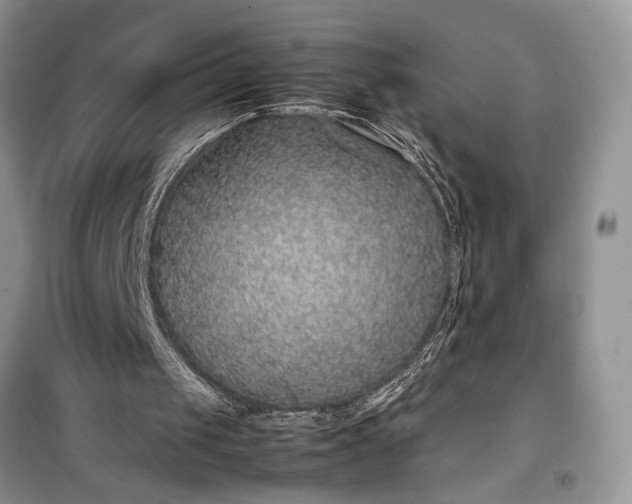 X0000099510049200805291158