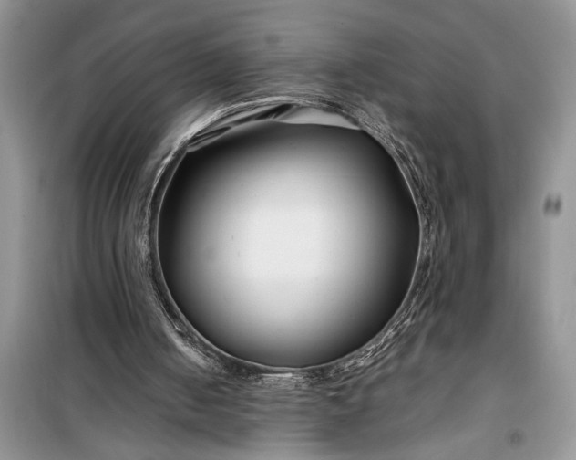 X0000099510050200805291158