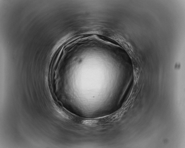 X0000099510051200805291158