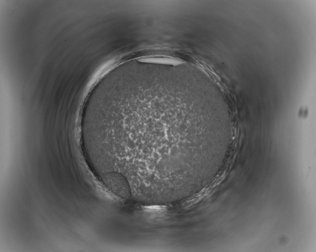 X0000099510053200805291158