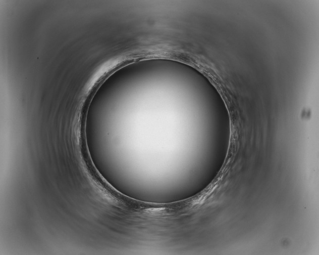 X0000099510054200805291158