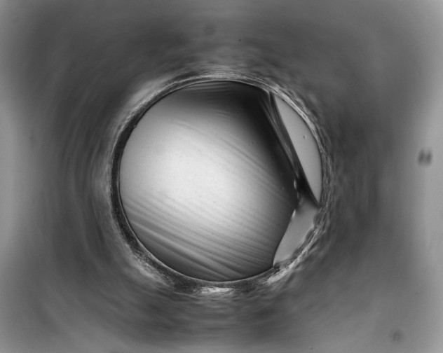 X0000099510055200805291158