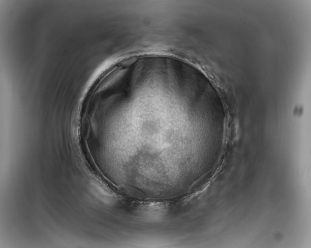 X0000099510056200805291158